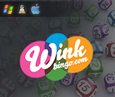 Wink Bingo Strengths and Features